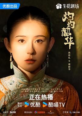 灼灼韶华mp4下载