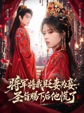 将军将我贬妾为妻，圣旨赐下后他慌了