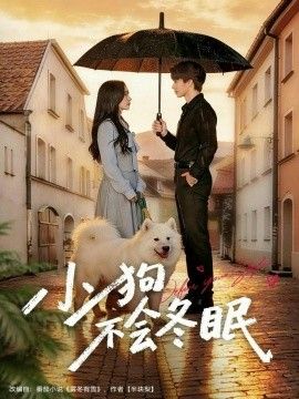小狗不会冬眠封面图