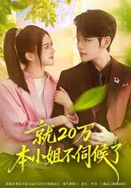 就20万！本小姐不伺候了