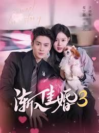 渐入佳婚3第三部封面图