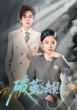 破茧法则封面图