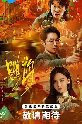 鹦鹉mp4下载
