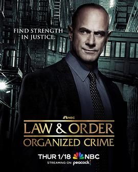 法律与秩序：组织犯罪 第四季mp4下载