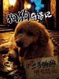 狗狗奇遇记迅雷下载