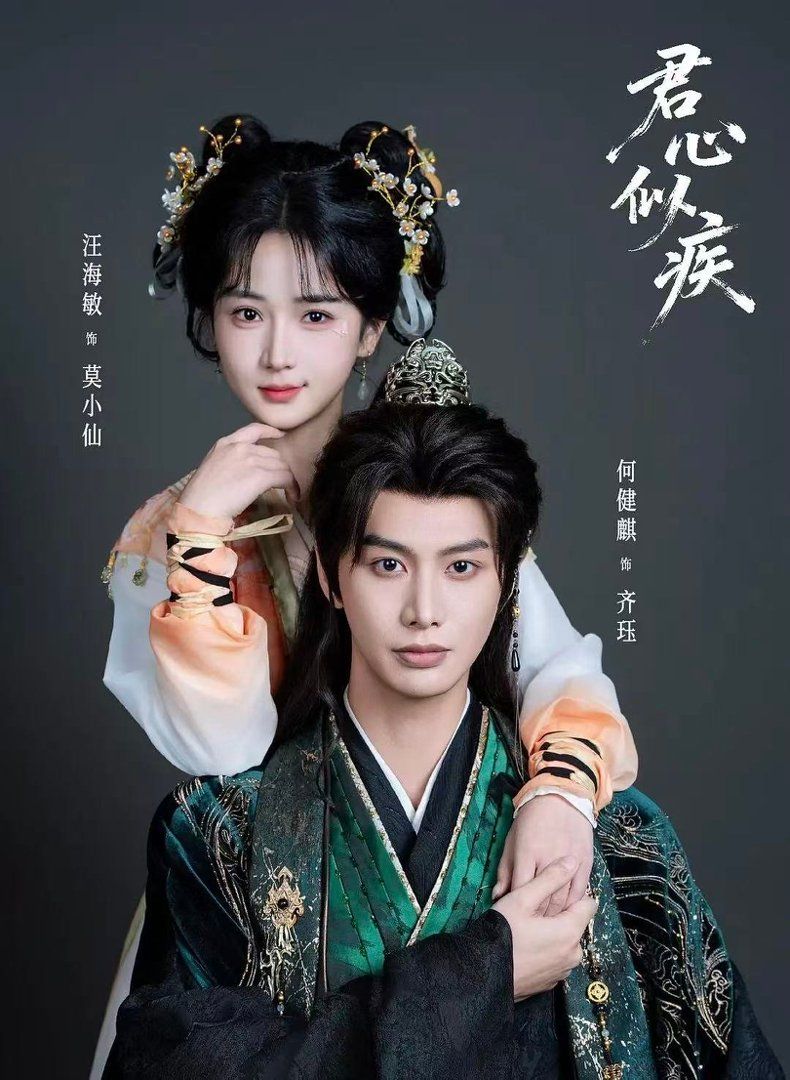 君心似疾封面图