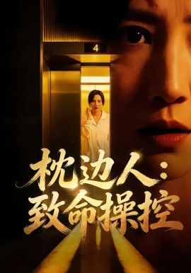 枕边人致命操控封面图