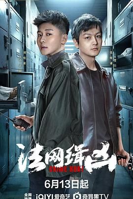 法网缉凶迅雷下载