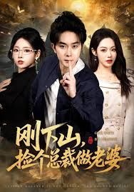 刚下山捡个总裁做老婆封面图