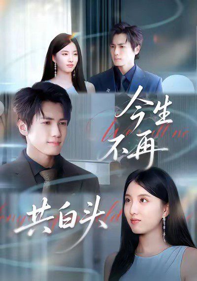 今生不再共白头封面图
