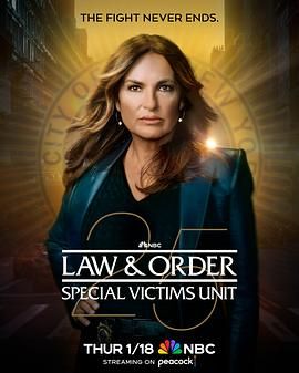 法律与秩序：特殊受害者 第二十五季mp4下载