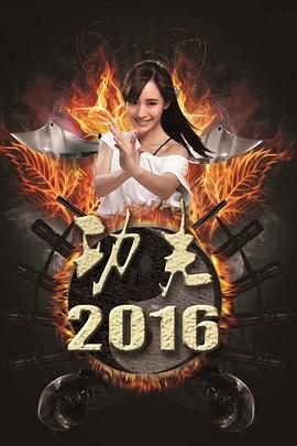 功夫2016迅雷下载