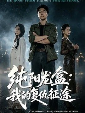 純陽龍盒：我的復仇征途