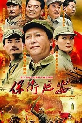 保卫延安mp4下载