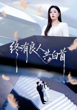 终有良人共白首封面图