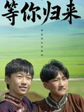 等你归来手机电影