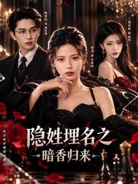 隐姓埋名之暗香归来