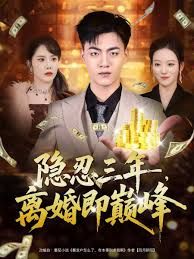 隐忍三年离婚即巅峰封面图