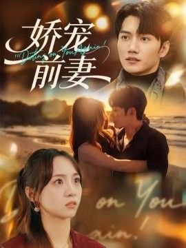 娇宠前妻封面图