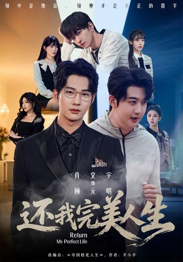 还我完美人生封面图