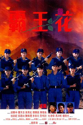 霸王花（国语版）手机电影