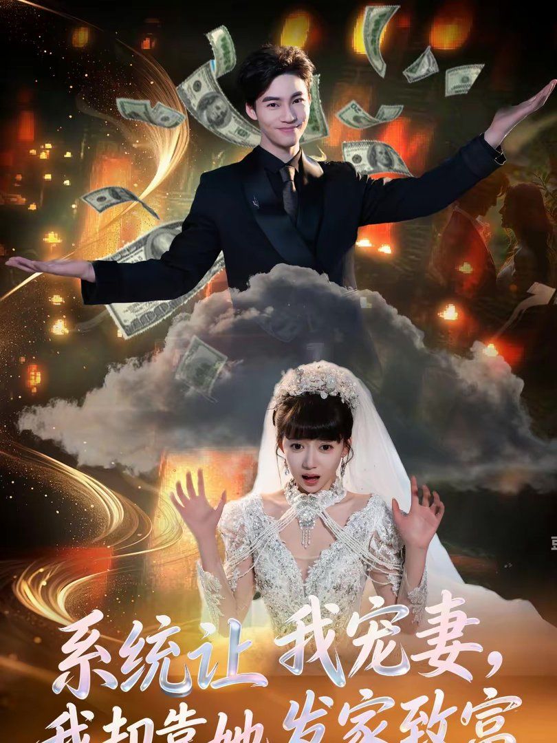 系统让我  宠妻，我却靠她发家致富