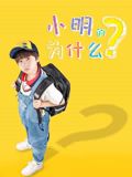 小明的为什么迅雷下载