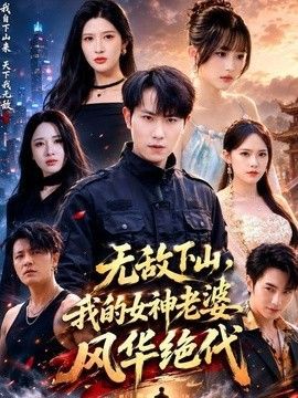 无敌下山我的女神老婆风华绝代