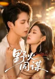 野火同谋封面图