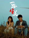 一路“生”花迅雷下载
