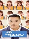 青春极速之旅迅雷下载