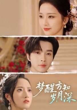 梦醒方知岁月深梦醒时你在我身侧封面图