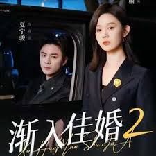 渐入佳婚第二部封面图