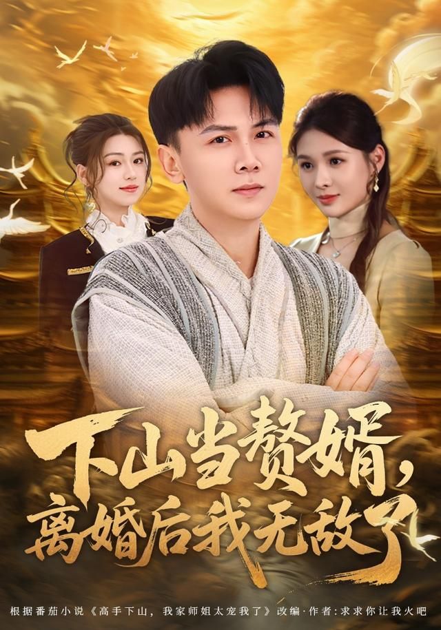 下山当赘婿离婚后我无敌了封面图