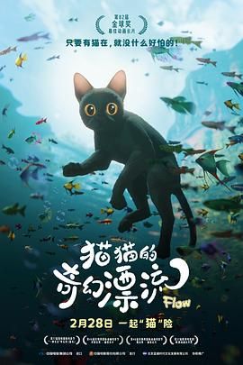 猫猫的奇幻漂流手机电影