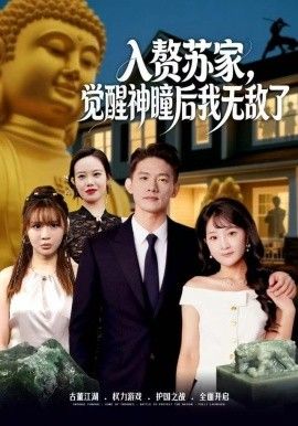 赘苏家觉醒神瞳后我无敌了封面图