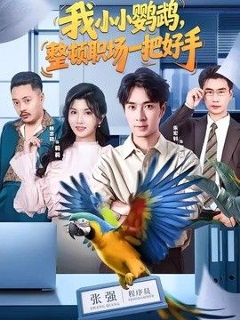 我小小鹦鹉，整顿职场一把好手