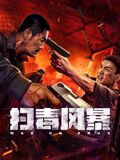 扫毒风暴mp4下载