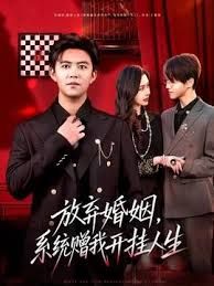 放弃婚姻系统赠我开挂人生封面图