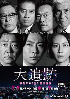 大追踪〜警视厅SSBC强行犯系手机电影
